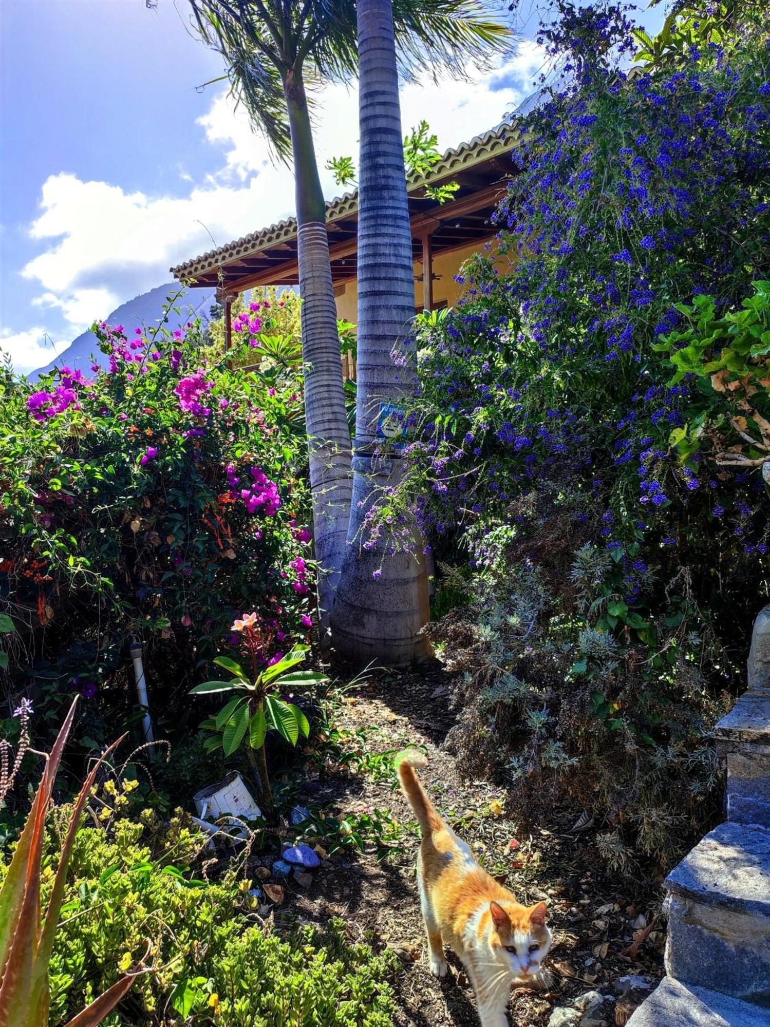 Rivendell Eco Lodge El Paso Exterior photo